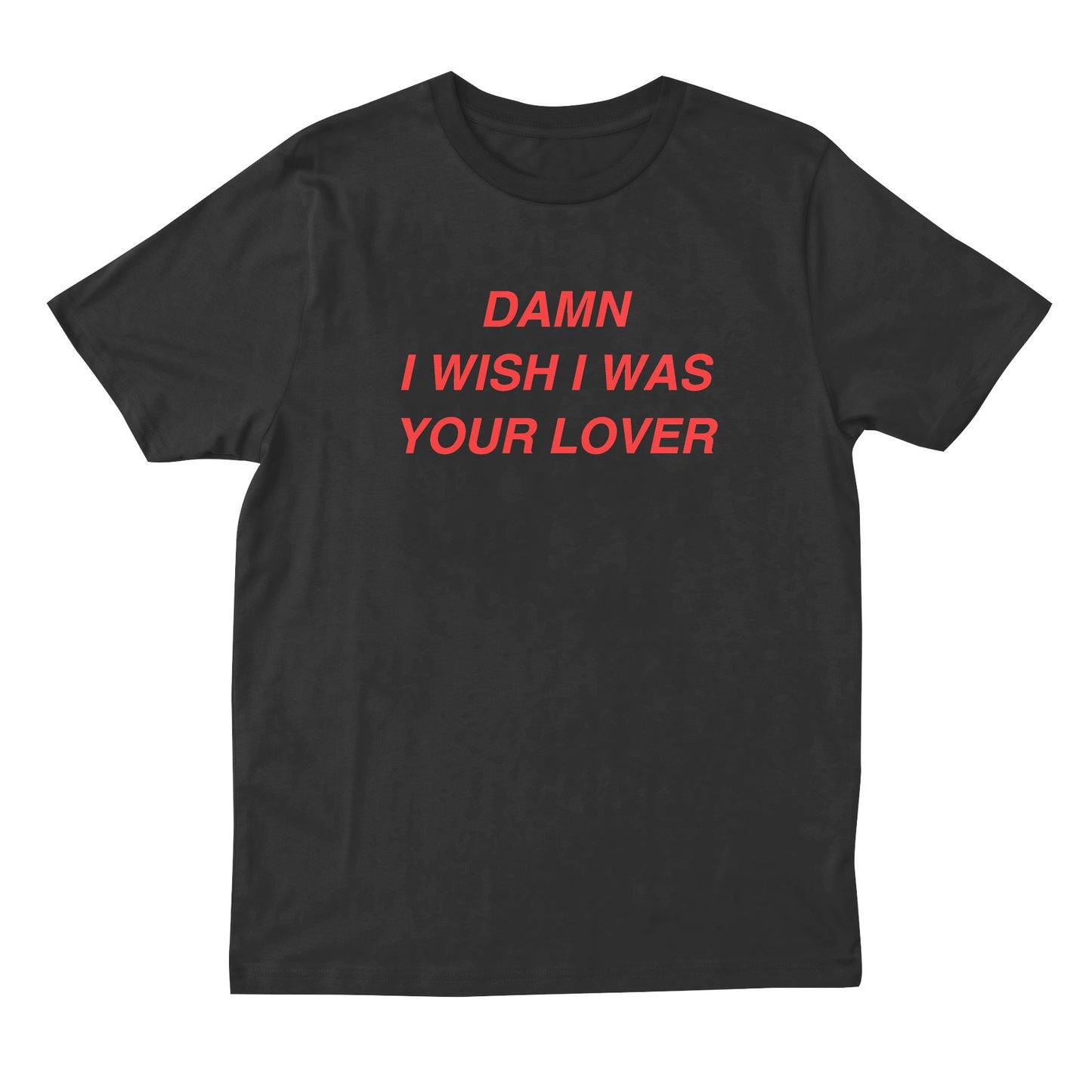 Damn I Wish I Was Your Lover T-shirt