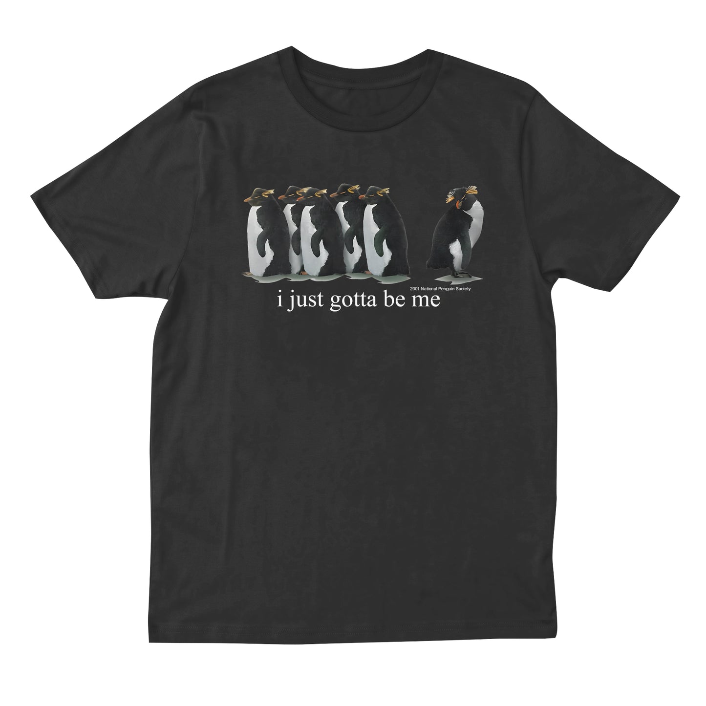 Just Gotta Be Me T-shirt