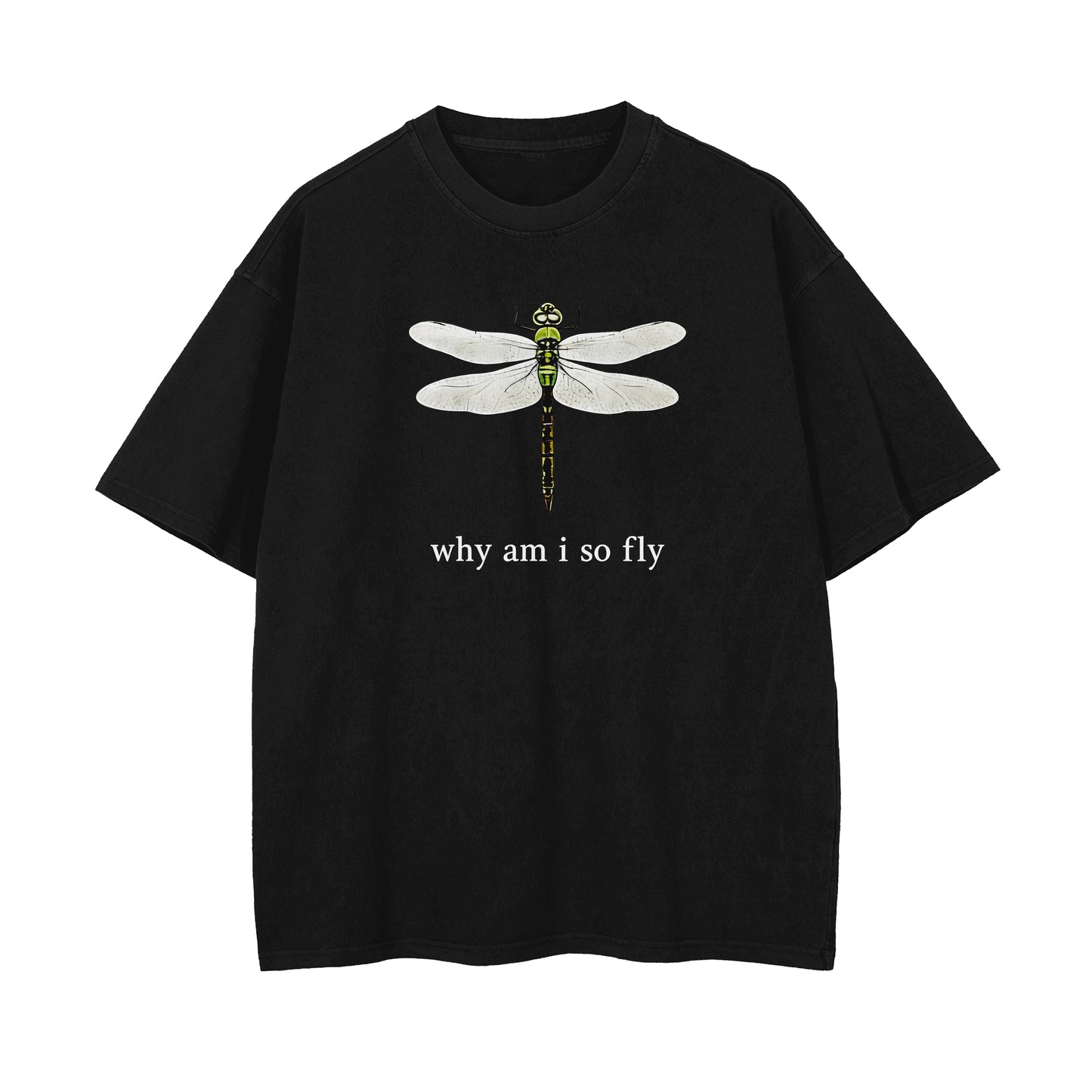 Why Am I So Fly Oversized T-shirt