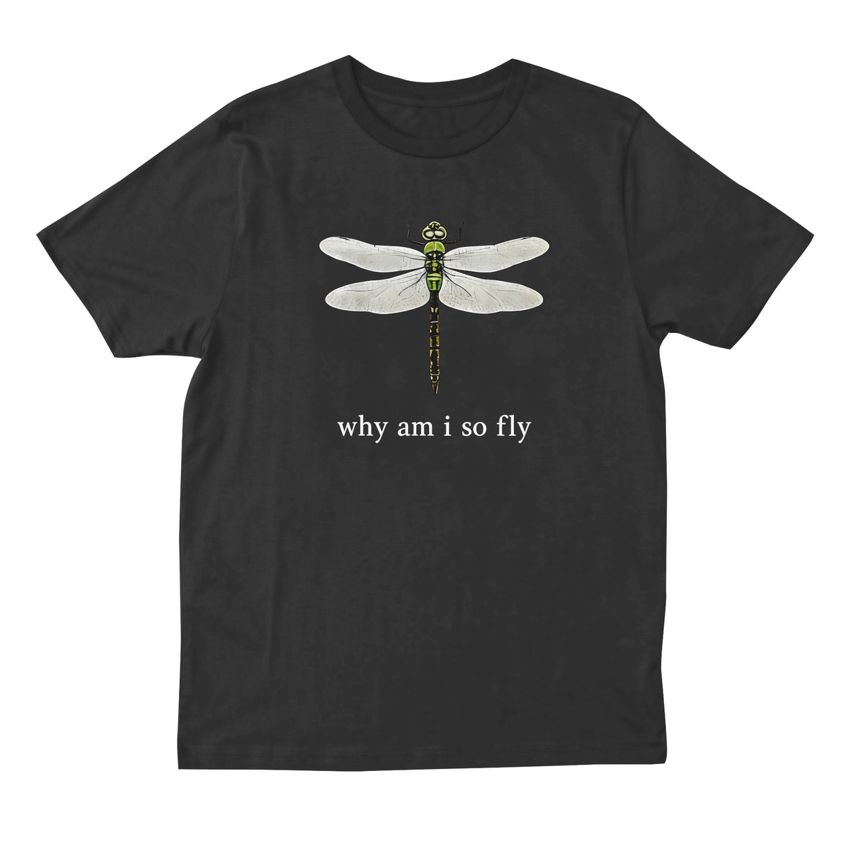 Why Am I So Fly T-shirt